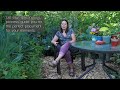 How to Design Your Food Forest