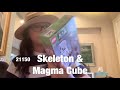 LEGO | Skeleton & Magma Cube | Time Lapse Building
