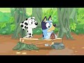 Bluey Games To Play Indoors | Bluey