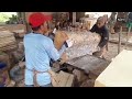 Penggergajian kayu Pulai terbesar