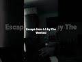 Cover of escape from LA by The Weeknd #repost #theweeknd #pianocover