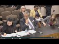 Fani Willis investigation Georgia Senate hearing | Part 5