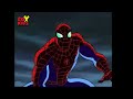 The Concerning Adventures of Spiderman