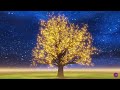 Tree of Life - 888 Hz - Attract Health, Money - Miracles and Blessings
