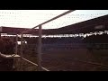 Prisoner gets hit by bull at Angola Prison Rodeo 2012