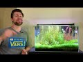 How To: Easiest CO2 Aquarium Setup