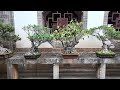 Walking tour of a private garden built by aristocrats more than 150 years ago in southern China