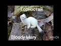 шоу маска горностай (bloody Mary)