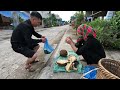 Single mother harvests the first ripe jackfruit of the season orphaned Po