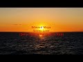 Edward Maya - Stereo Love (DeKo Chill in the Sunrise Edit)