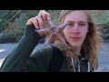 A Day at Bolinas Beach