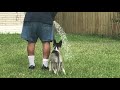 husky vs water hose.