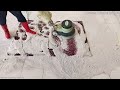 A carpet flowing with unprecedent color! Satisfying carpet cleaning ASMR