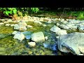 Calming River ASMR for Relaxation | River Sounds ASMR for Better Sleep and Study