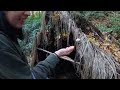 Autumn Camp in the Deserted Forest with Our Warm Tent with Stove