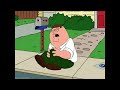 family guy lofi typebeat - music to relief and stop overthinking