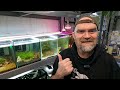 3 Step Plan To Stop Your Shrimp Dying - Dont Give Up