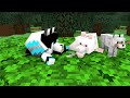 Monster School : WOLF vs BABY HEROBRINE - FUNNY STORY - Minecraft Animation
