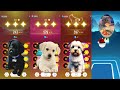 Cute Dog  WEDNESDAY LADY GAGA BLOODY MARY vs BLACKPINK LISA MONEY vs JISOO FLOWER vs SHUT DOWN