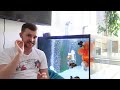 How to achieve a CRYSTAL CLEAR aquarium | Filtration systems for Goldfish