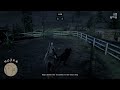 Best Horse Riders in RDR2 (ft. @DStadler24)