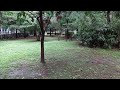 Listening to the sound of rain in the park, the sound of birds, white noise asmr