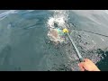 The Fluke Drift of a Lifetime - Big Block Island Fluke!