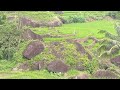 PANORAMA ALAM PEDESAAN YANG INDAH DAN SEJUK JUGA SANGAT ASRI DI PLOSOK GARUT SELATAN.  !?