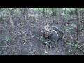 INFANTRYMAN'S GUIDE: Individual Movement Techniques (IMTs)