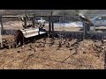 Pheasant release 2022￼