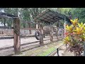 Wisata ke Taman Margasatwa Ragunan 2024 || Lihat Gajah #ragunan #margasatwa