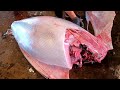 Perfect Cutting Skills of Over 400kgs Bluefin Tuna