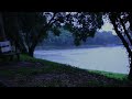 Beat Insomnia In 5 Minutes With Gentle Rain By The River