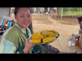 Harvesting MAIZE 🌽 ,CUCUMBER 🥒 and Wild Mushrooms 🍄‍🟫 at my SIS HUSBAND VILLAGE |