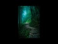 Jungle Walk Secret Path - Relaxing Meditation Sounds  - NO Music No Talk - ASMR - Powernap - Healing