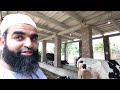 Dairy farm, Masjid & Madrassah projects within 12 months of leaving the UK!