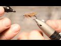 Tape Wing Caddis by TrOutcastz