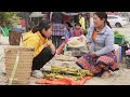 Harvest Sugar Cane Goes to market sell - Daily Life | Lý Tiểu Anh