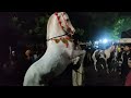 मशहूर नागपुर शहर के घोड़े आए है । अब्दुल्ला शाह बाबा के उर्स ए पाक में सलामी देने ✨Kamptee Nagpur||