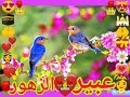 اللهم ارح قلبي💝ونفسي🤲يارب🌹💝🌹💗🌹😻