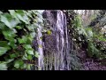 Relaxing woodland escape | lost in nature | secret waterfalls |