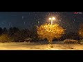 It's So Cold Outside | It's So Cold Outside Song | Winter in Lake Tahoe | Snow Storm USA 2022