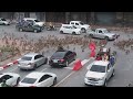Rival wild monkeys have huge gang fight in front of shocked drivers!