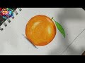 How to draw an Orange | How to draw an Owl | Easy Pencil Course