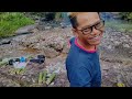 2 days heavy rain,fishing trip catch & Cook,mukbang in a mountainus jungle river