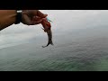 Full Strike Ikan Enak di trip awal tahun 2024 || Ultralightfishing || Mancing Pinggiran || Landbased