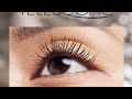 The Top 5 Best Mascara in 2024 - Must Watch Before Buying!