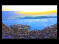 Blowing Rocks Preserve Jupiter Florida