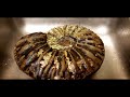 AMAZING~Once in a Lifetime AMMONITES & MATRIX FOUND..!!
