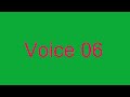 VOICE 6